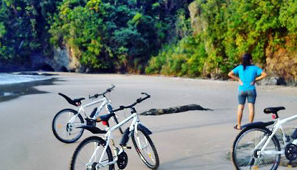 Jurisu Resort San Vicente  Ngoại thất bức ảnh